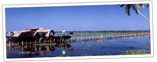 Backwaters in South India