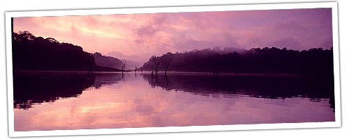 Periyar National Park