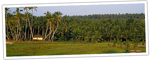 South India Tour Package