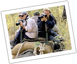 Wildlife Safari Tour