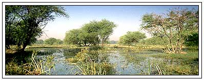 Bharatpur Rajasthan