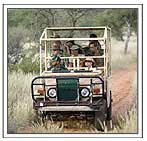 Jeepsafari in Corbett National Park