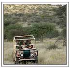 Jeepsafari in Gir