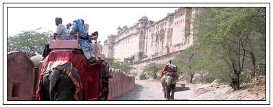 Amber Fort Jaipur