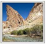 Chang-Chu River in Ladakh